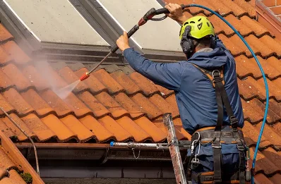 Démoussage et hydrofuge de toiture à Bunzac
